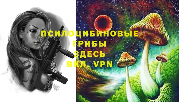 героин Алексин